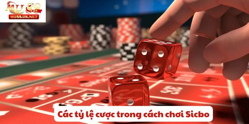 Cách chơi Sicbo Mu88- Cược đơn giản, nhận thưởng lớn về tay 3 Các tỷ lệ cược trong cách chơi Sicbo
