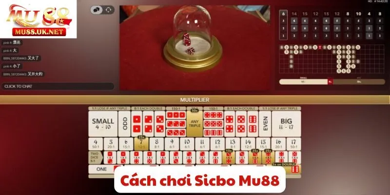 Cách chơi Sicbo Mu88- Cược đơn giản, nhận thưởng lớn về tay 2 Cách chơi Sicbo Mu88