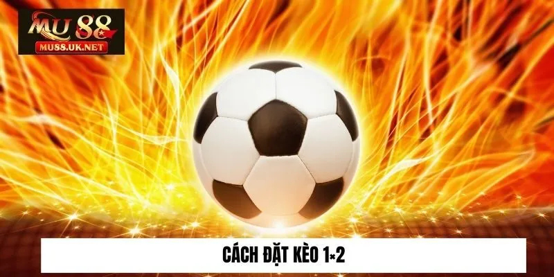 Cách đặt kèo 1×2