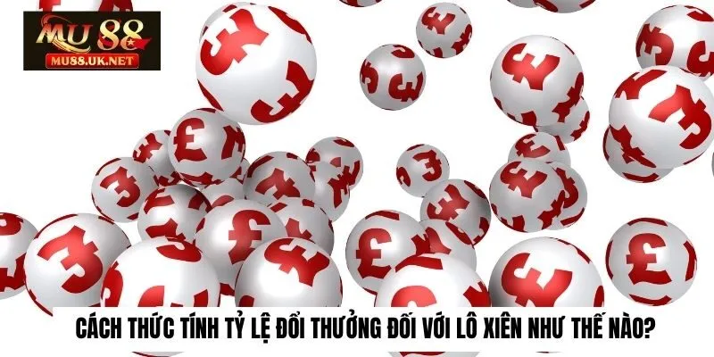 Lô Xiên Là Gì? Bật Mí 2 Cách Để Chơi Lô Xiên Thắng Đậm 2 Cách thức tính cũng như tỷ lệ đổi thưởng đối với lô xiên như thế nào?