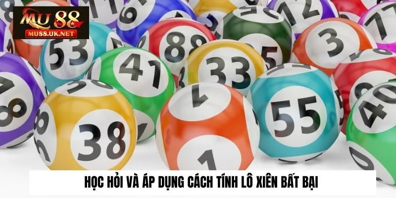 Lô Xiên Là Gì? Bật Mí 2 Cách Để Chơi Lô Xiên Thắng Đậm 3 Học hỏi và áp dụng cách tính lô xiên bất bại từ các đàn anh đi trước