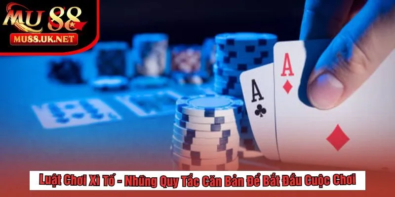 Luật Chơi Xì Tố - Những Quy Tắc Căn Bản Để Bắt Đầu Cuộc Chơi