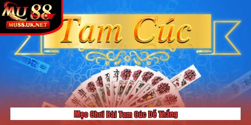 Bài Tam Cúc Là Gì? Hướng Dẫn Cách Chơi Từ A Đến Z 2 Mẹo Chơi Bài Tam Cúc Dễ Thắng