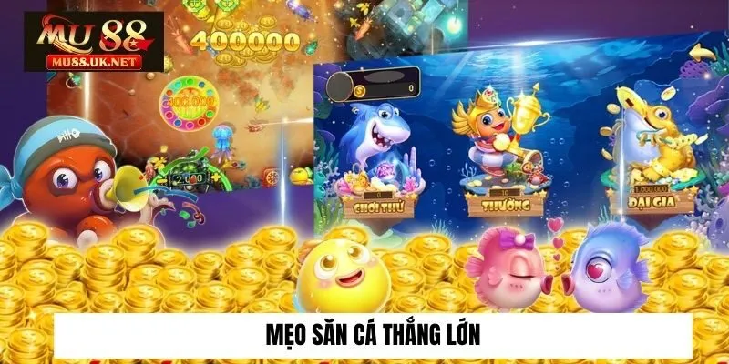 Mẹo săn cá thắng lớn
