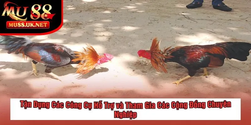 Tận Dụng Các Công Cụ Hỗ Trợ và Tham Gia Các Cộng Đồng Chuyên Nghiệp