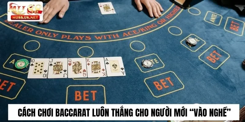 Cách chơi Baccarat luôn thắng cho người mới “vào nghề”