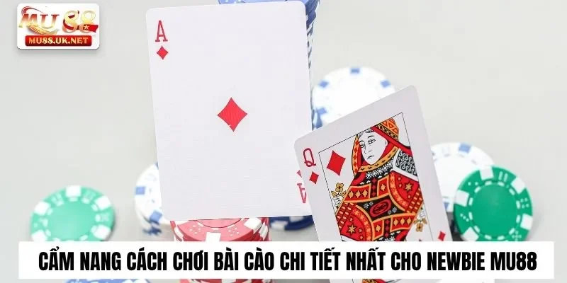 Cẩm Nang Cách Chơi Bài Cào Chi Tiết Nhất Cho Newbie Mu88