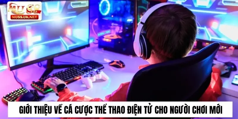 Giới thiệu về cá cược thể thao điện tử cho người chơi mới tìm hiểu