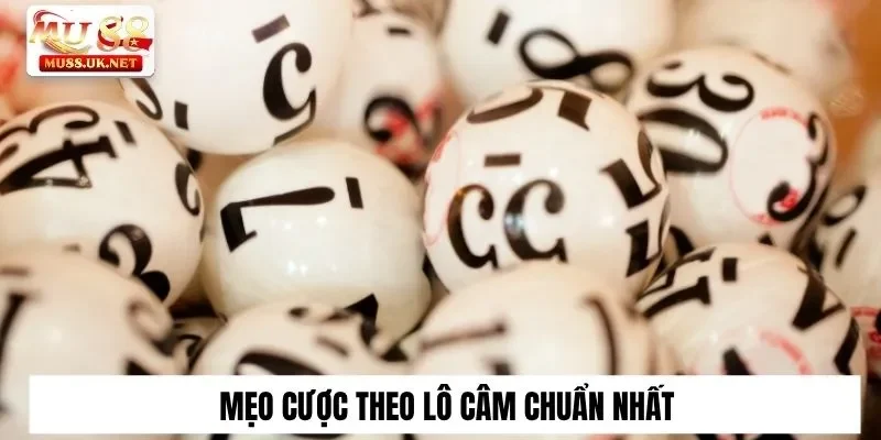 Mẹo cược theo lô câm chuẩn nhất