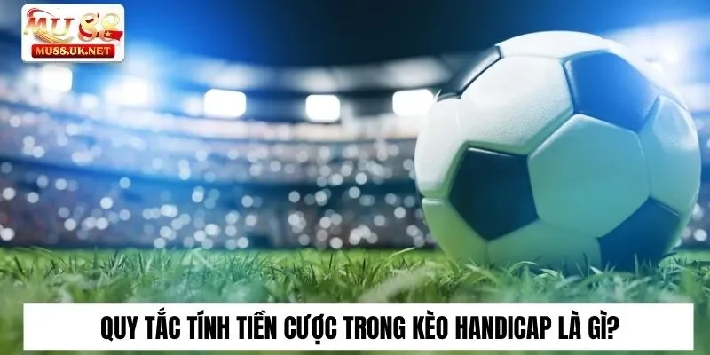 Quy tắc tính tiền cược trong kèo Handicap là gì?