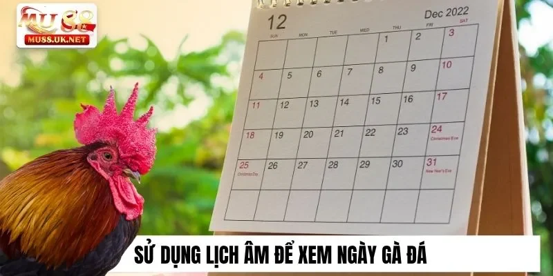 Cách Xem Ngày Gà Đá Chuẩn Xác 100% Chắc Thắng Tại Mu88 3 Sử dụng lịch âm để xem ngày gà đá